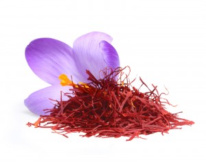 Flower crocus and dried saffron spice isolated on white background.